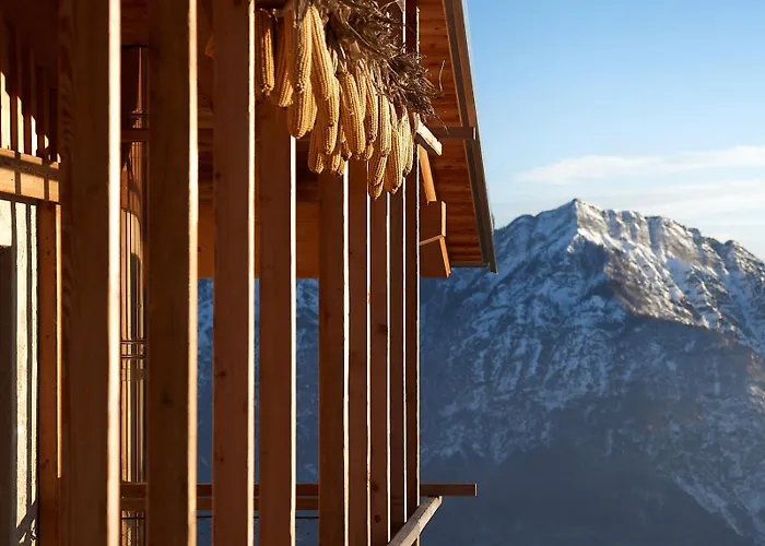 Nif: Alpine Taste