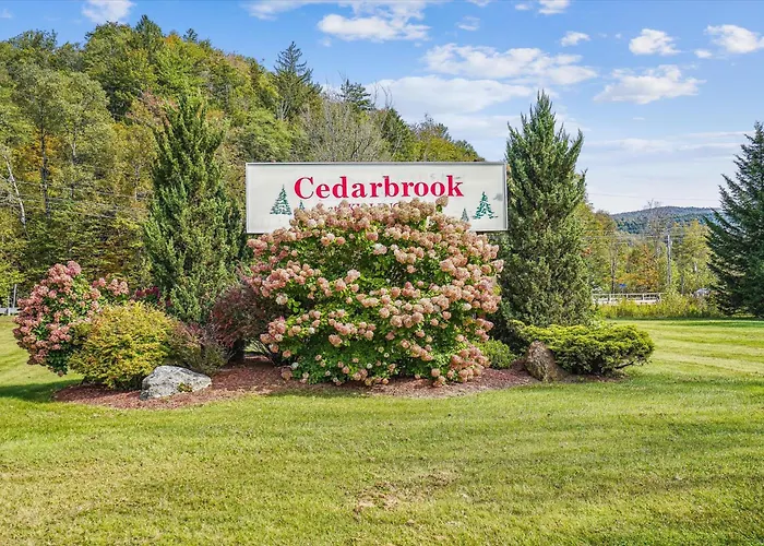 Cedarbrook Junior Suite 21820