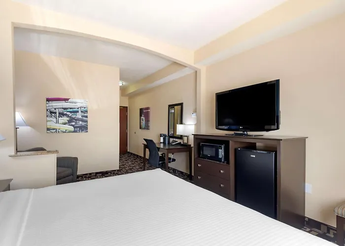 Best Western Plus Arlington North Hotel & Suites