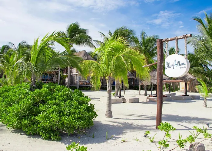 Blue Holbox