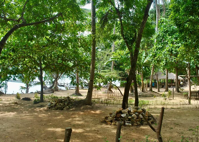 Alam Kita