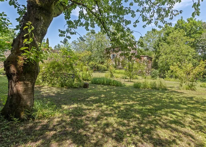 Les Suites De L'Ile Barbe