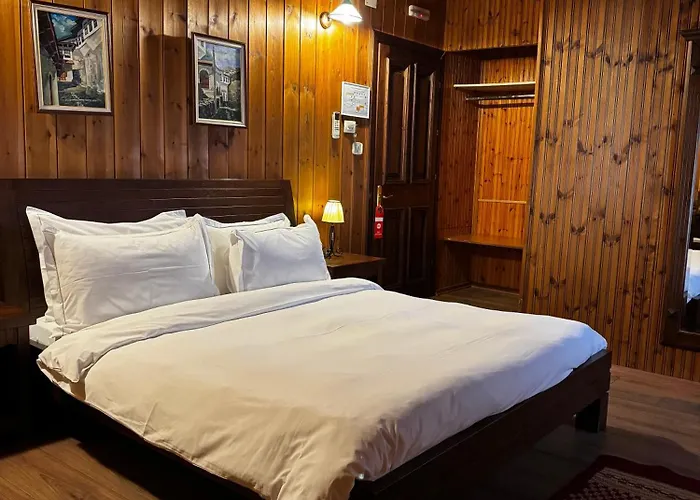 Hotel Mangalemi