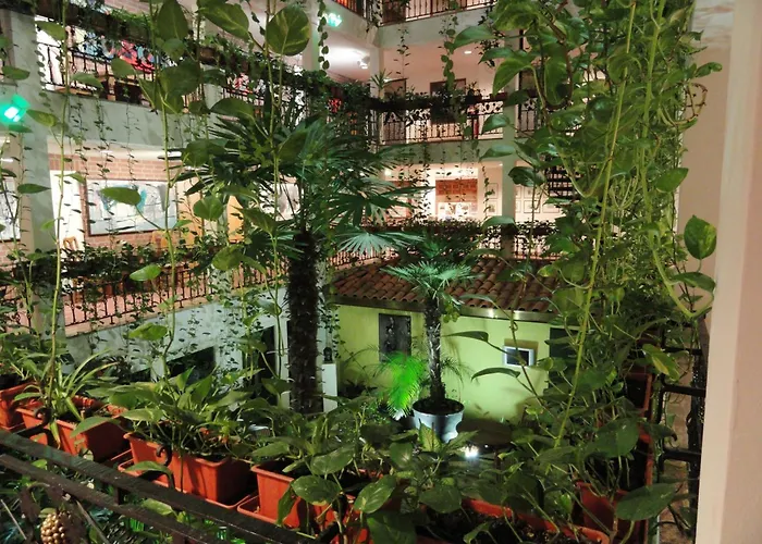 Solitaire Hotel