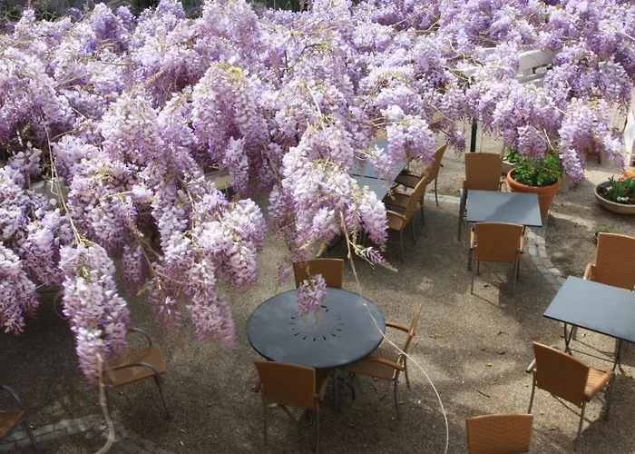Logis Hotel La Ferme