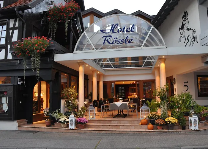 Hotel Roessle