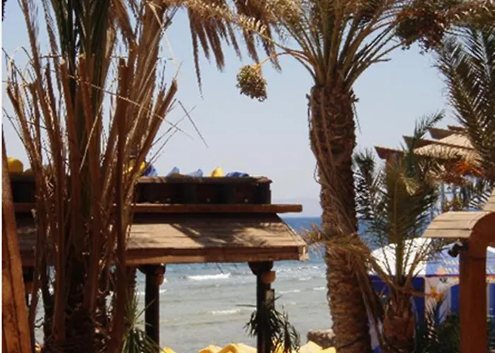Penguin Village Dahab