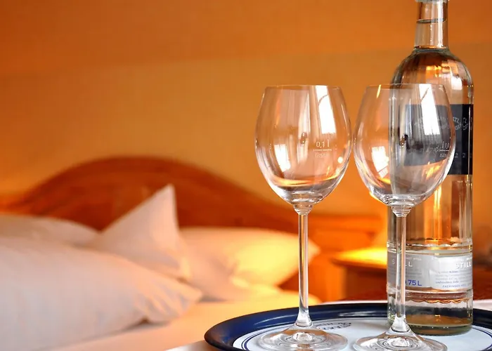 Hotel Schick