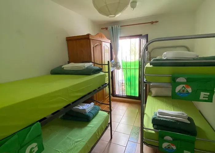 The Best House Tenerife Habitaciones Compartidas