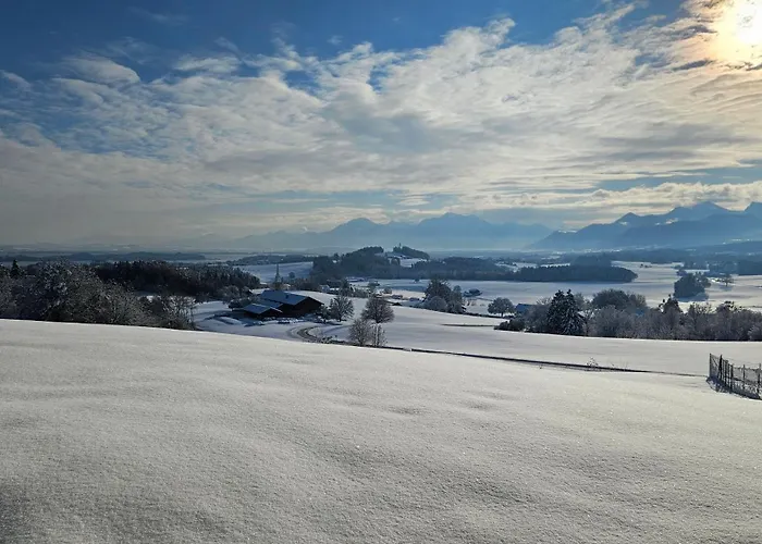 Berg Hotel Weingarten Garni