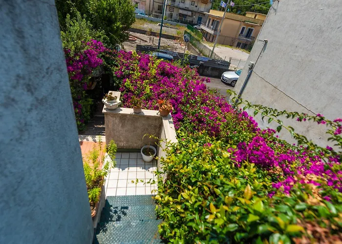 Terra Mia Acomodação com café da manhã Pompeia