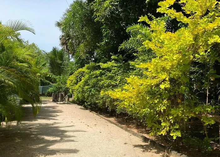 Elena Garden Resort&Restaurant