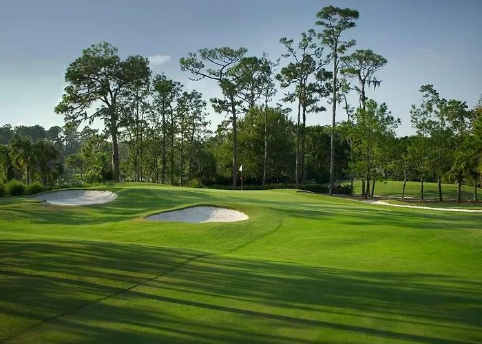 Saddlebrook
