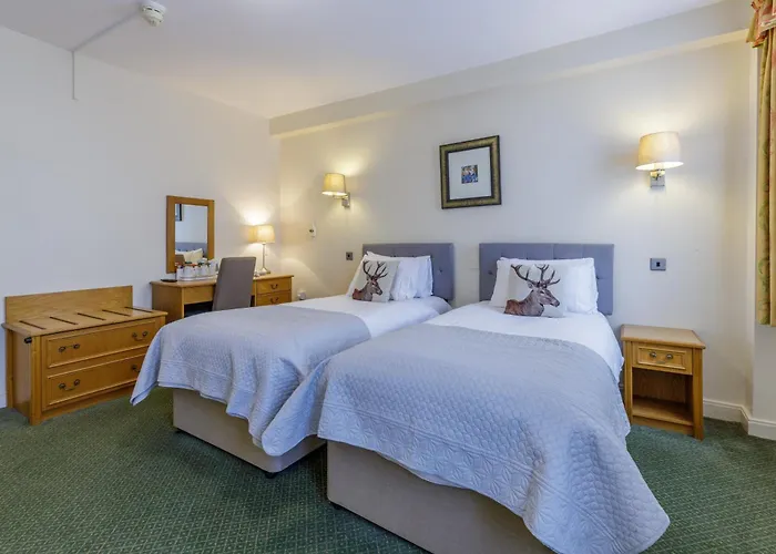 Swan Revived Hotel