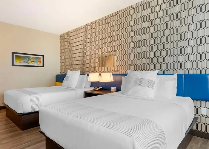Glo Best Western Dallas South Desoto