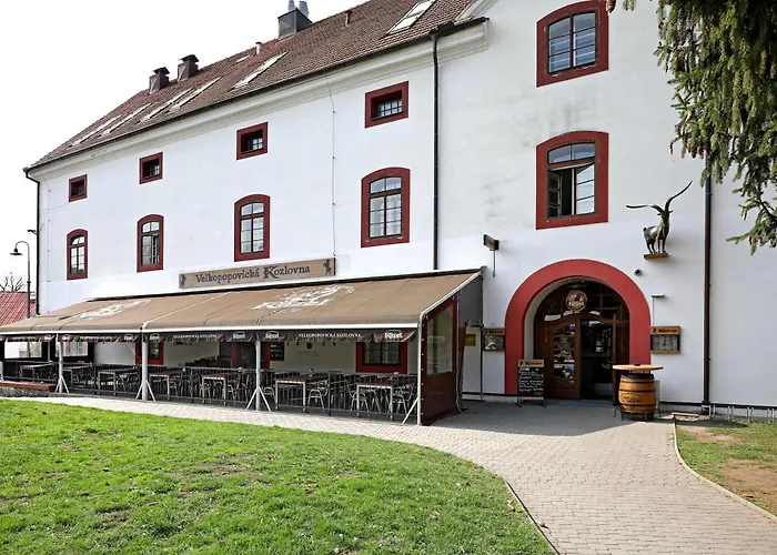 Hotel U Ledu