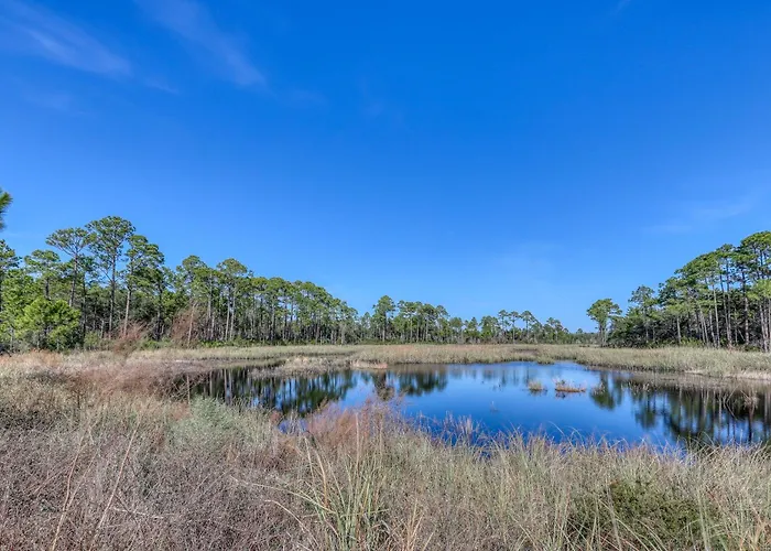 Village Of South Walton B247