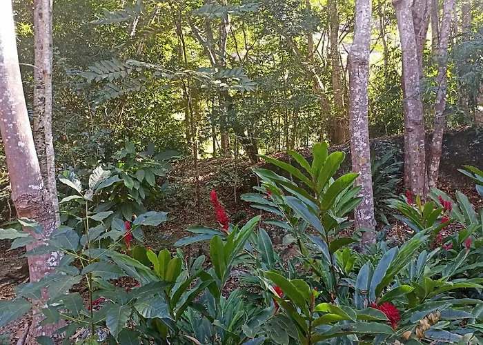 Pousada Jardim de Pedras