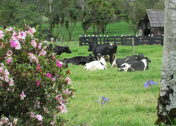 Reserva Guadalajara - Authentic Farm In Cocora Valley