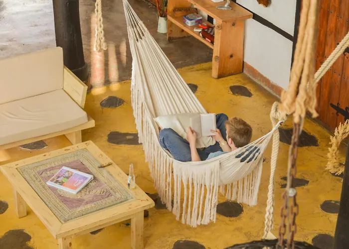 Coffee Tree Boutique Hostel