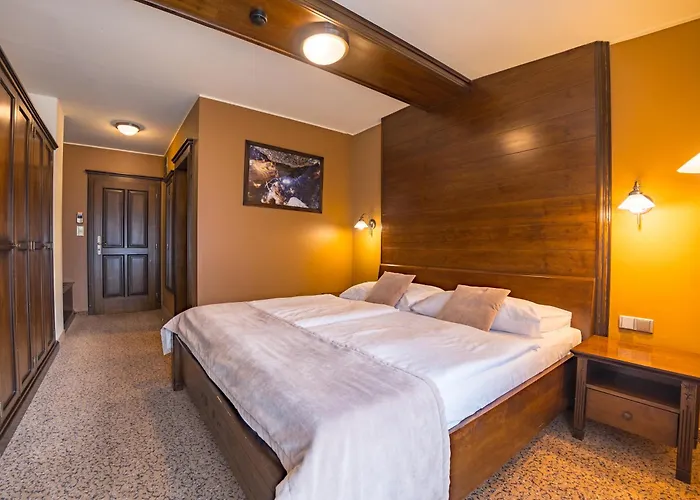 Aplend Wellness Hotel Borovica