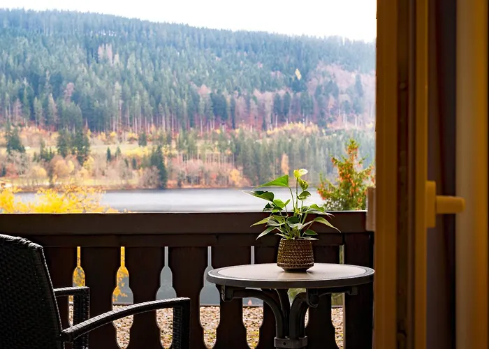 Treschers Schwarzwald Hotel