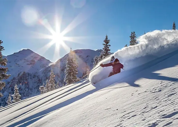 Studio Shred