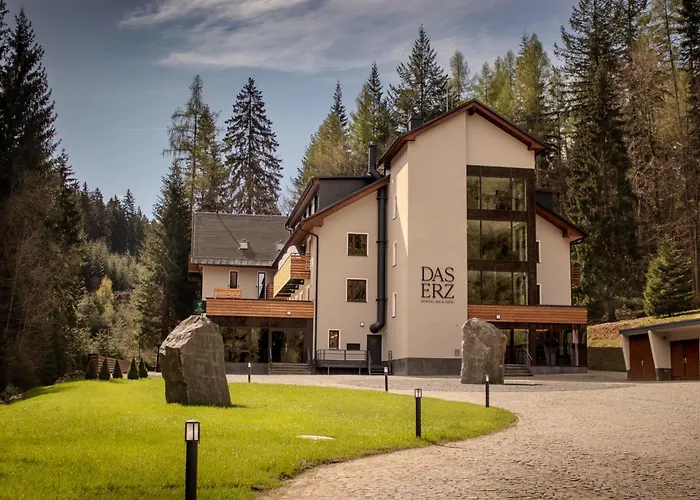 Das Erz Medical Spa & Hotel