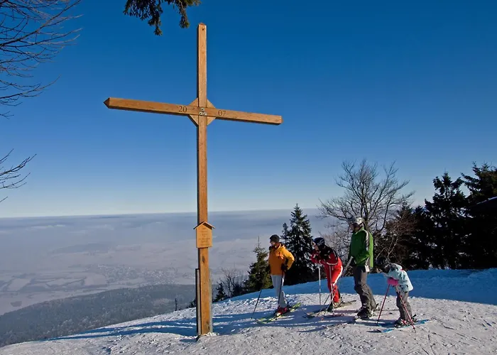 Schoenblick Hohenbogen