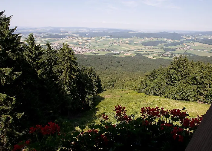 Schoenblick Hohenbogen