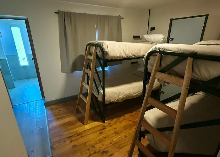 Hostel TRUFA