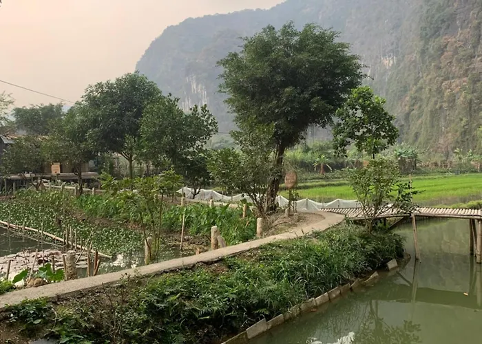 Tam Coc Lotus Flower Homestay