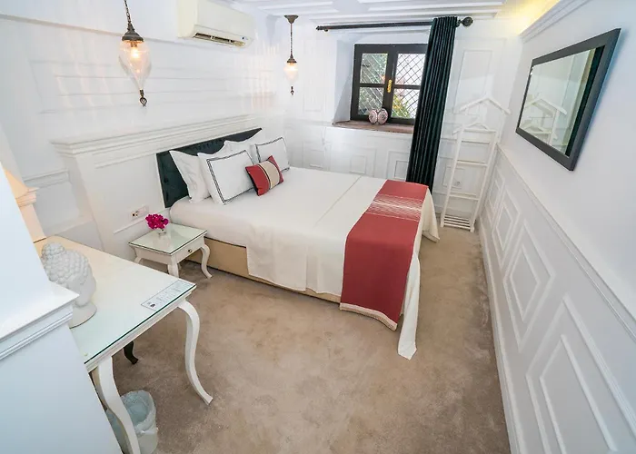Siyah Lale Cunda 1841 (Adults Only)