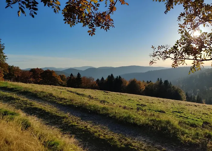 Hotel Influences La Bresse