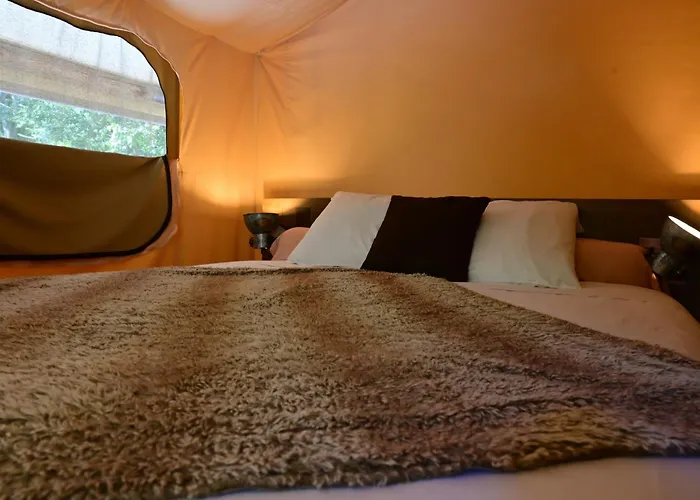 Prehistoric Lodge - Adult Only