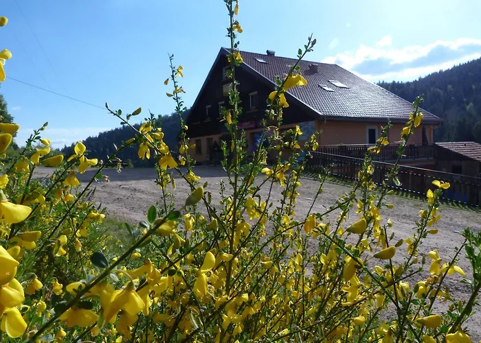 Domaine Des Hauts Viaux