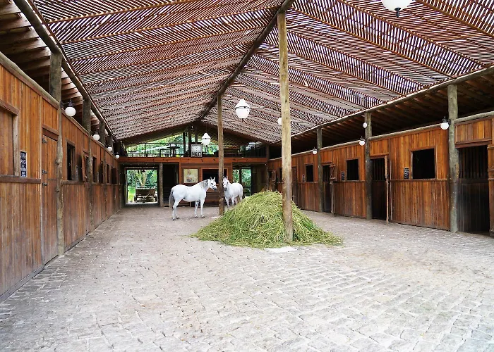 Hotel Fazenda Morros Verdes Ecolodge