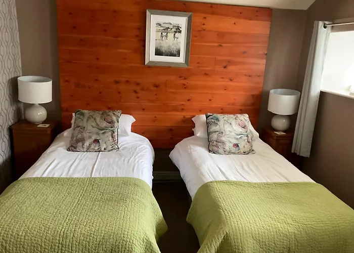Oyo Cocketts Hotel
