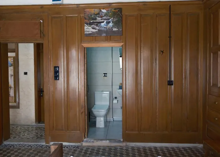 Ruken Hanim Konagi