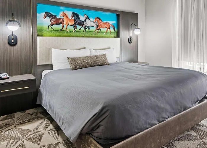 Big Country Hotel & Suites, Surestay Collection By BW