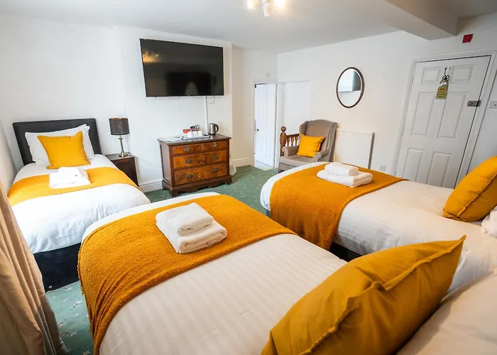 Without A Paddle Hotel