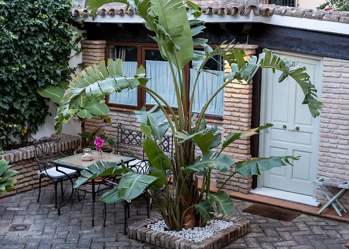 Hotel Azalea Playa