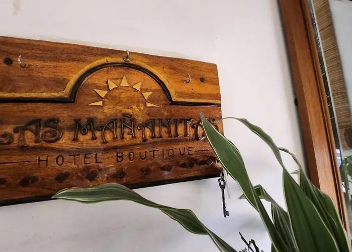 Las Mananitas Casa Hotel
