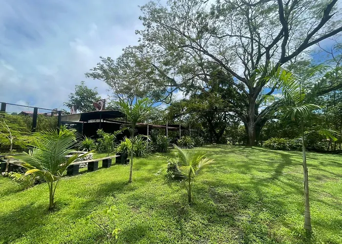 Wao Jungle Venao