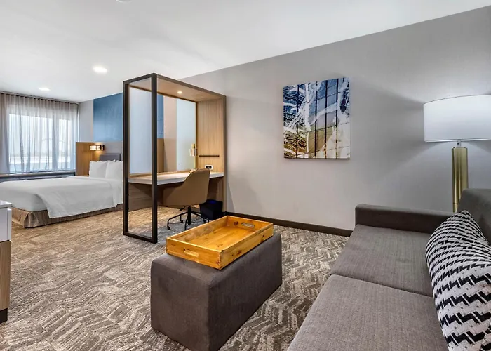Springhill Suites By Marriott Anaheim Placentia Fullerton