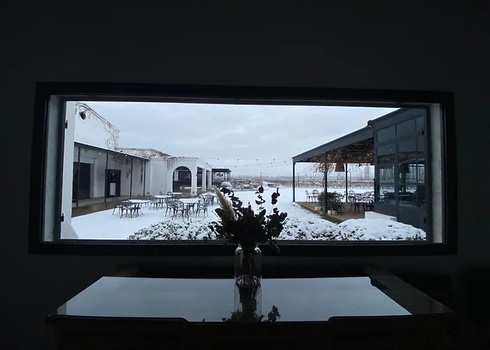 Viamonte Winery Lodge