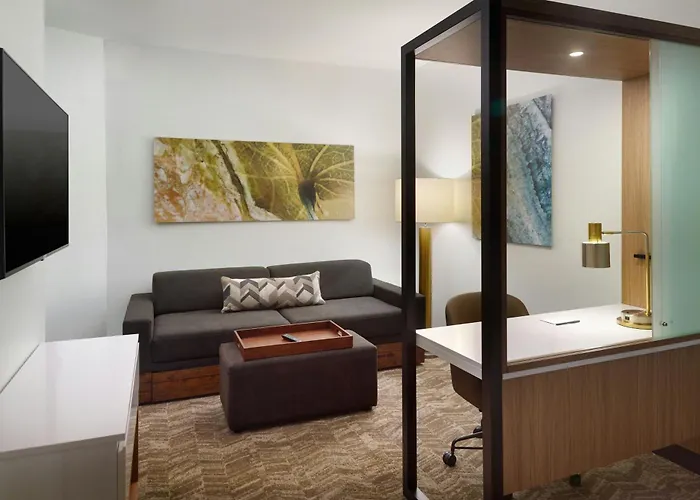 Springhill Suites By Marriott Ellijay
