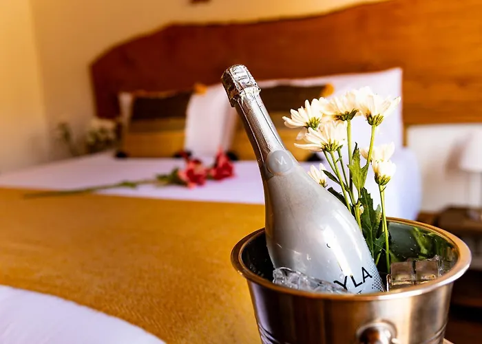 Hotel Don Raul