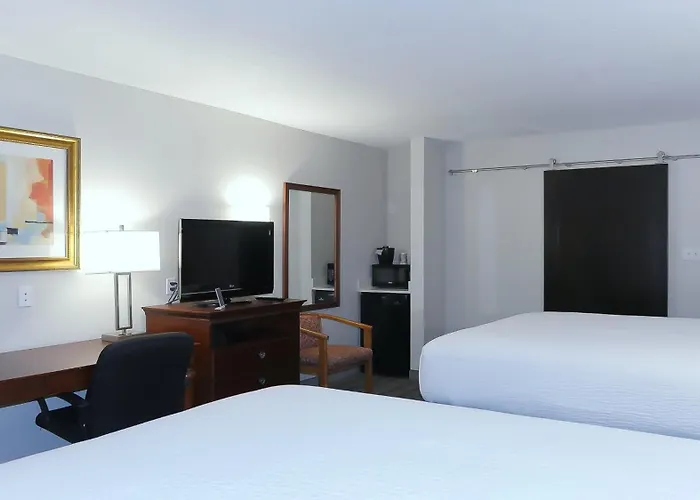 Hotel South Tampa & Suites