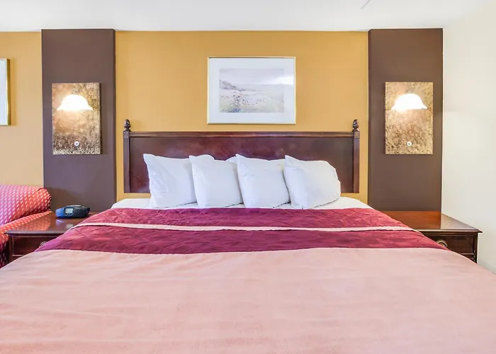 Rodeway Inn & Suites Saginaw I-675